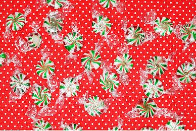 第三人称射击游戏《Scars Above》新实机预览 3月1日发售