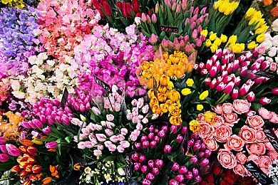 世嘉手游《404 GAME RE:SET》宣布停服 运营还不满一年